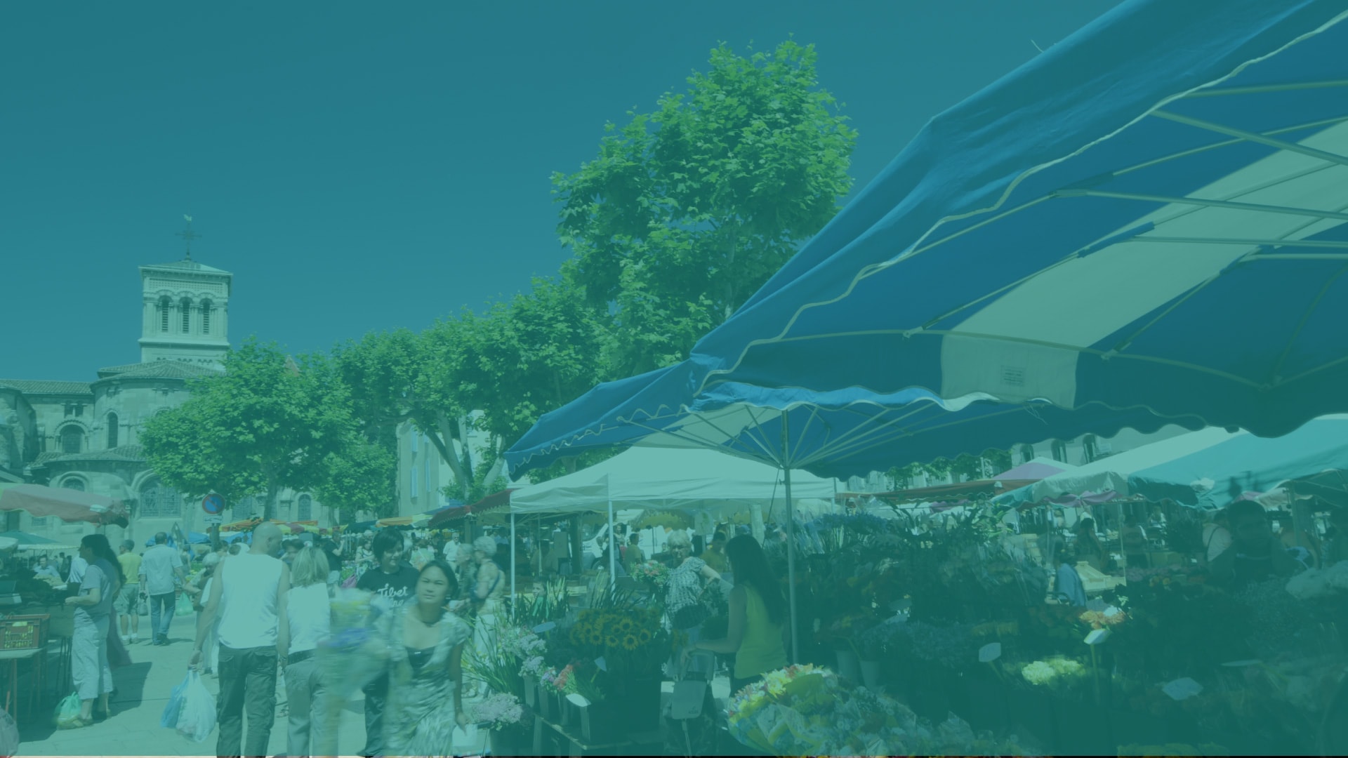 L'Agence Immo Valence