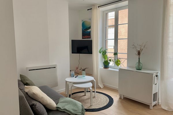 Appartement meublé Tournon Sur Rhone 2 pièces 30.50 m2
