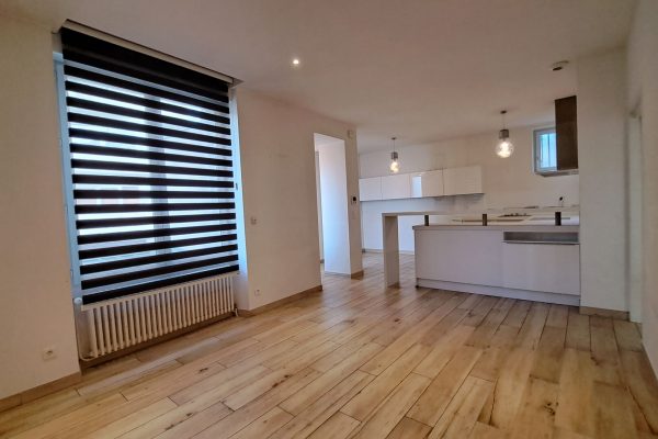 Maison 125 m2  proche Danton , Maurice Faure